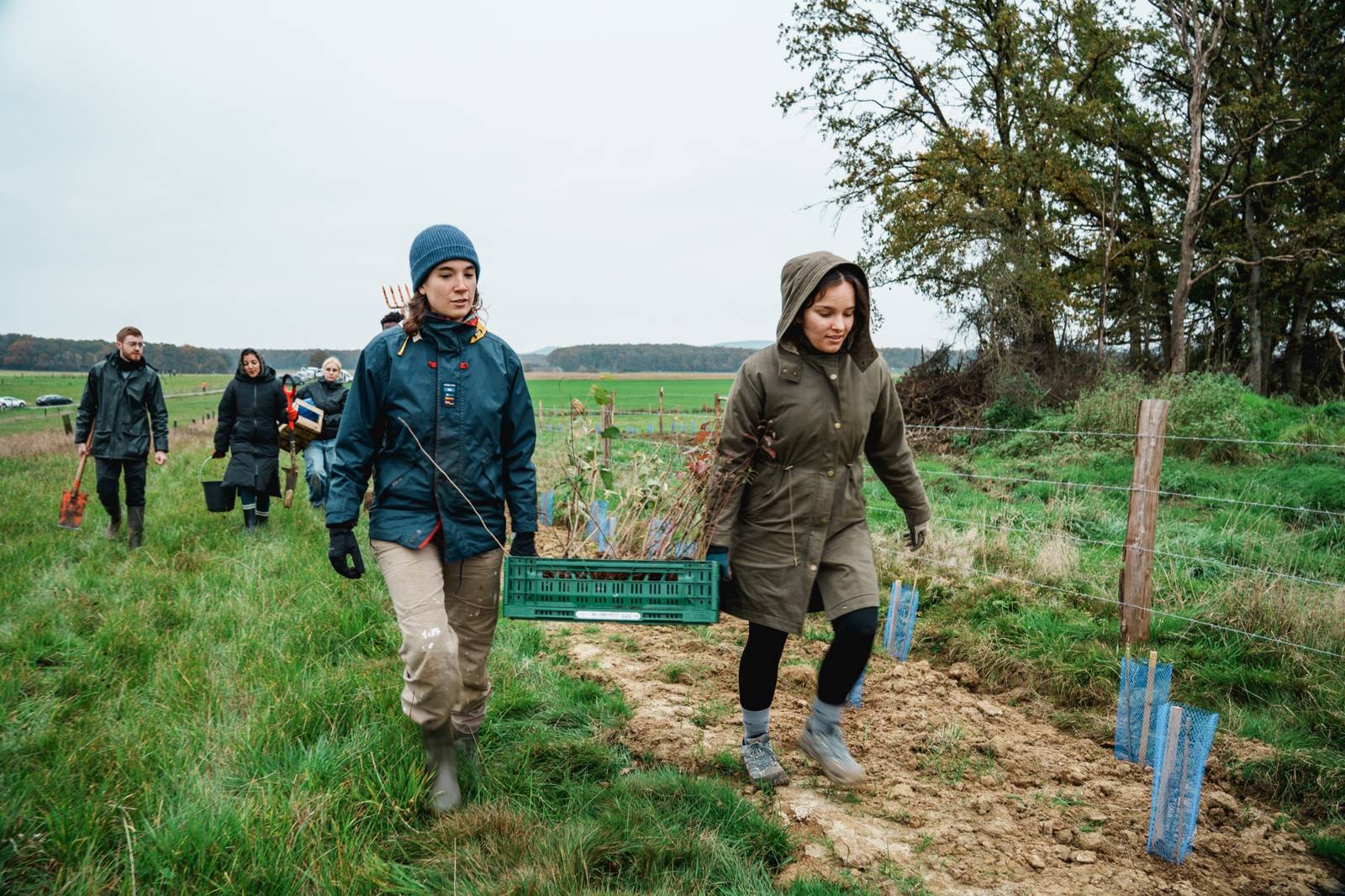 Les bénévoles emportent les plants d'essences locales sur le lieu de plantation