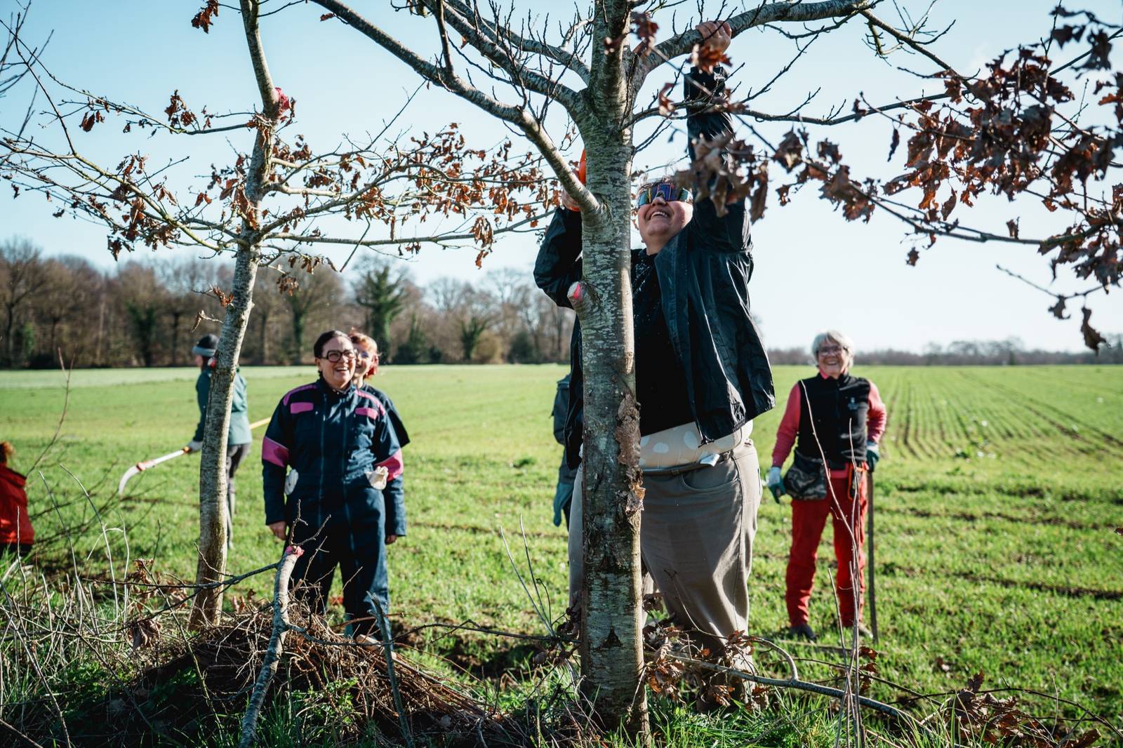 Une bénévole en train de tailler l'un des arbres d'une jeune haie bocagère