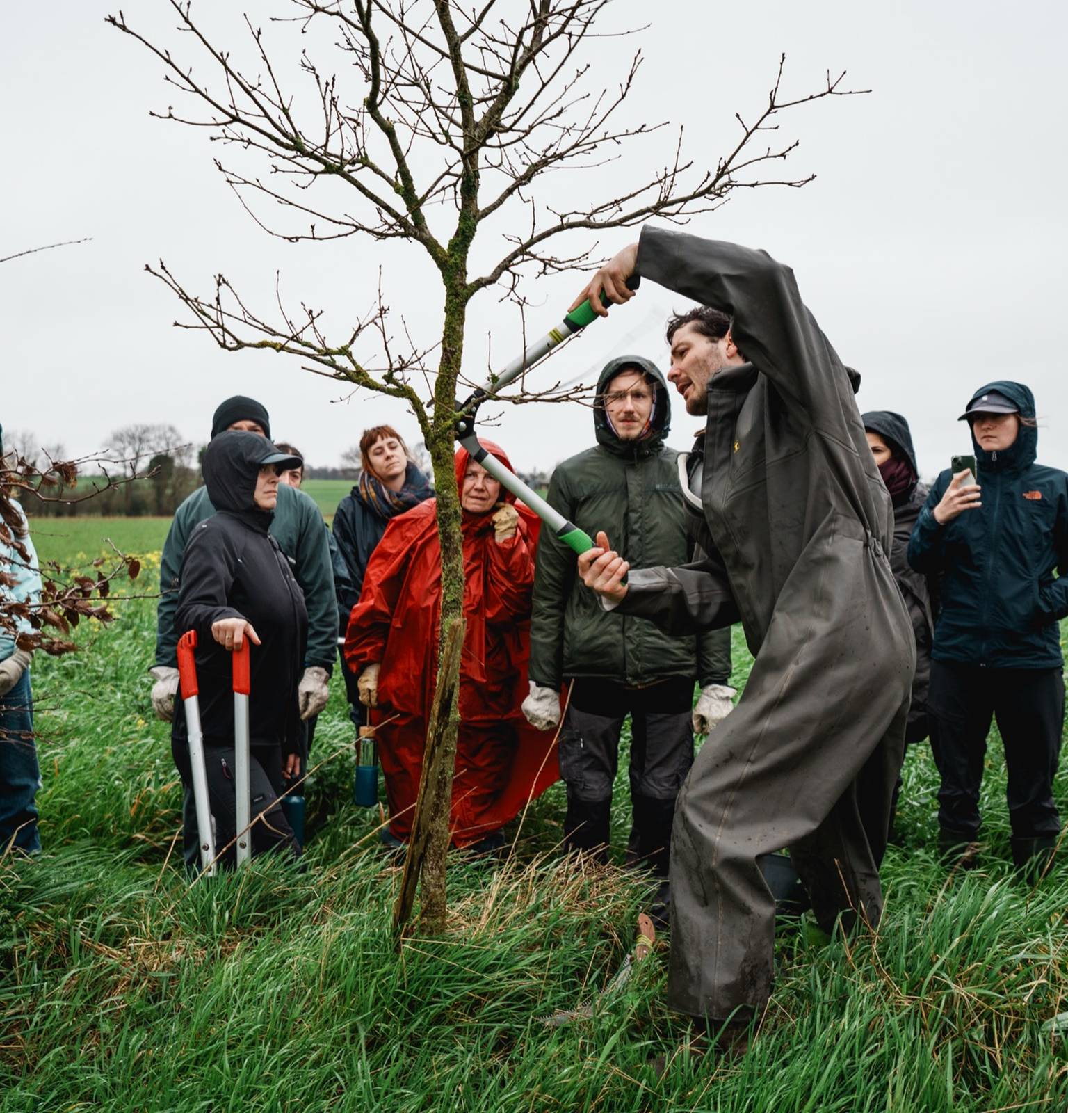 Démonstration de taille d'un jeune arbre au coupe-branches devant un groupe de bénévoles, sous la pluie, sur le chantier de La Repousse