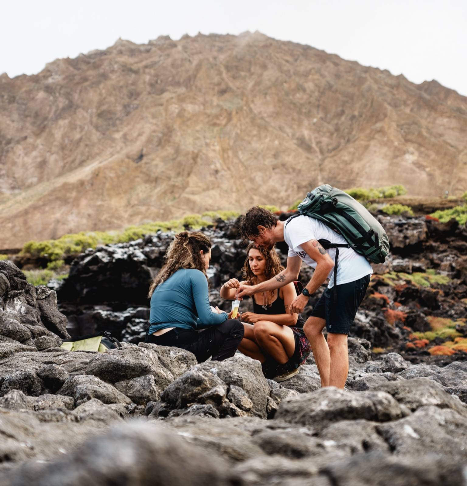 Des scientifiques relèvent des excréments d'iguane marin aux Galápagos